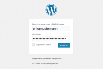 Ansicht eines WordPress-Logins